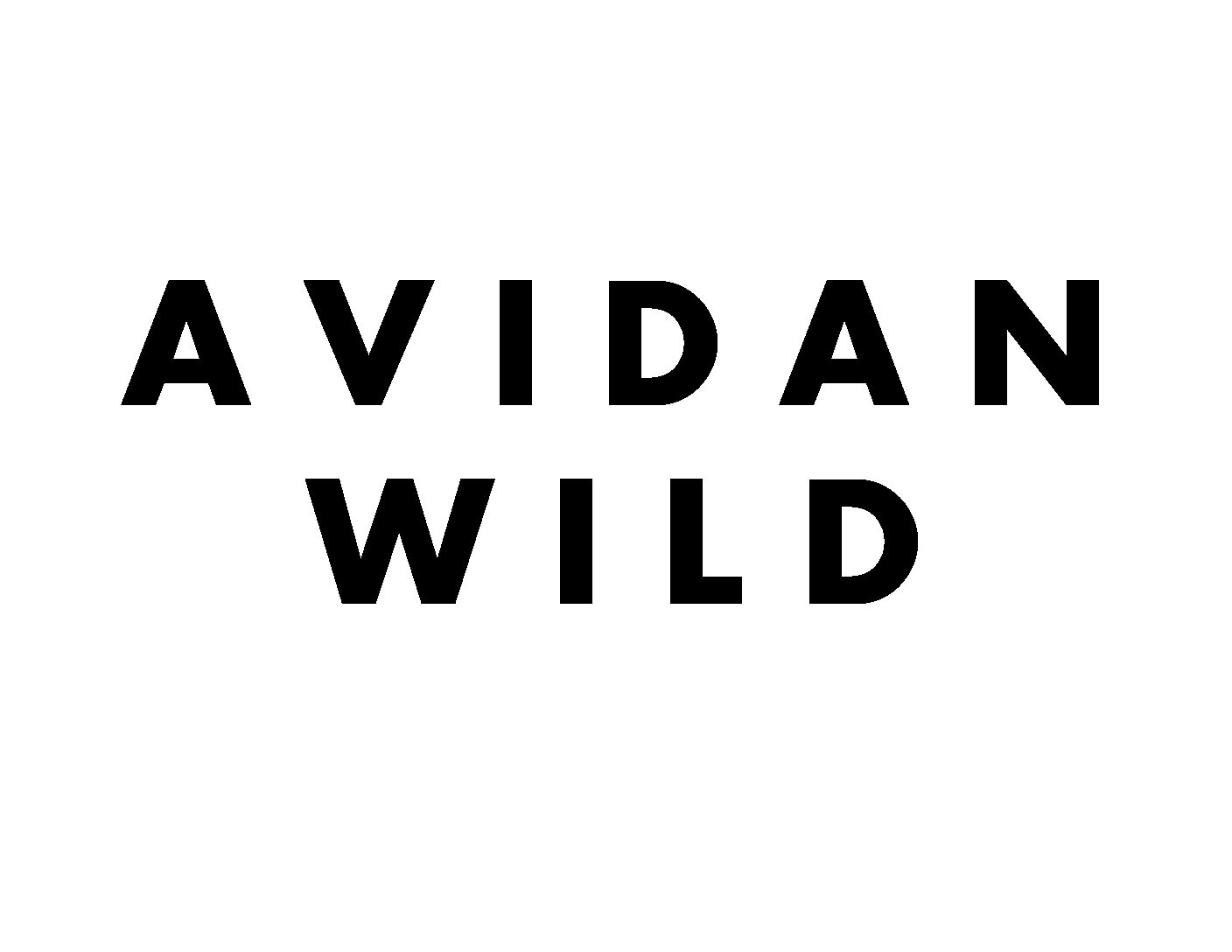 Avidan 